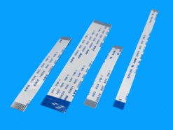 Các loại hoa hồng